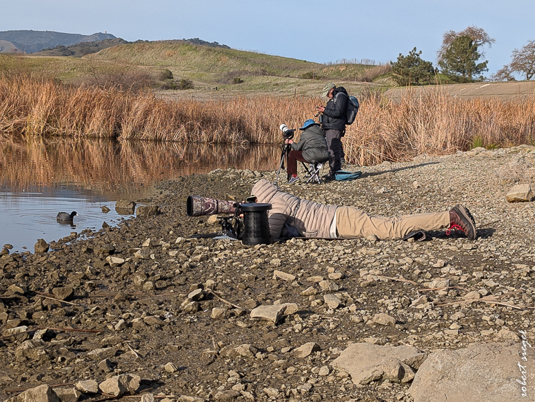 Calero County Park and Reservoir